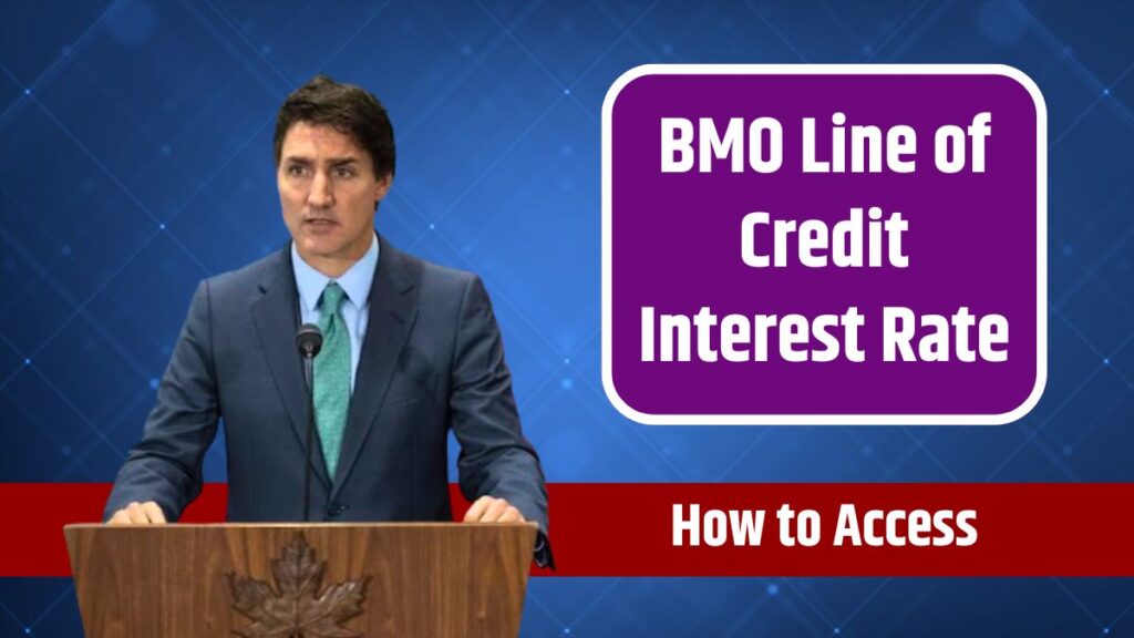 BMO Line of Credit Interest Rate How to Access and Repay BMO Line of